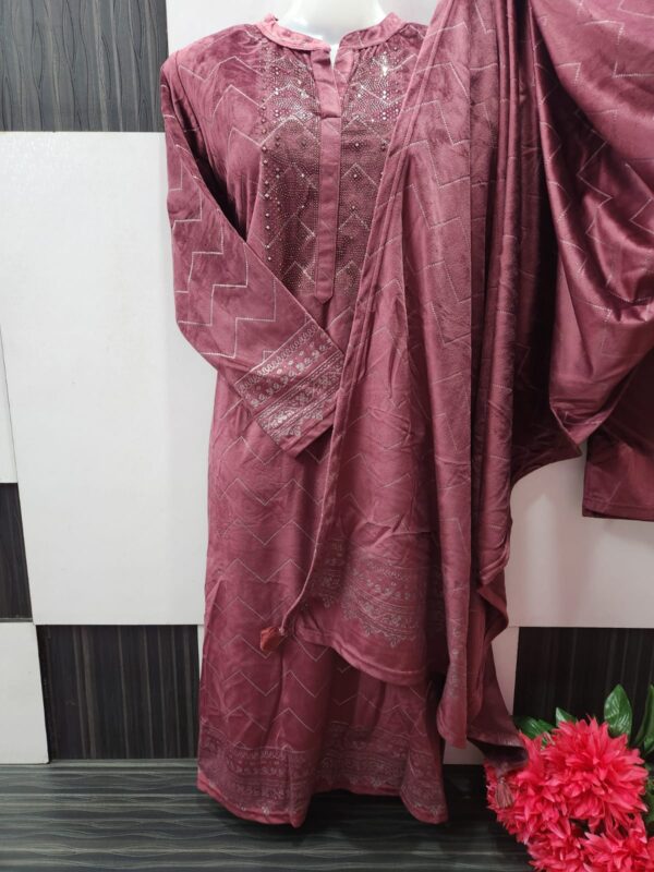Wine Velevet Suit with swaski suit
